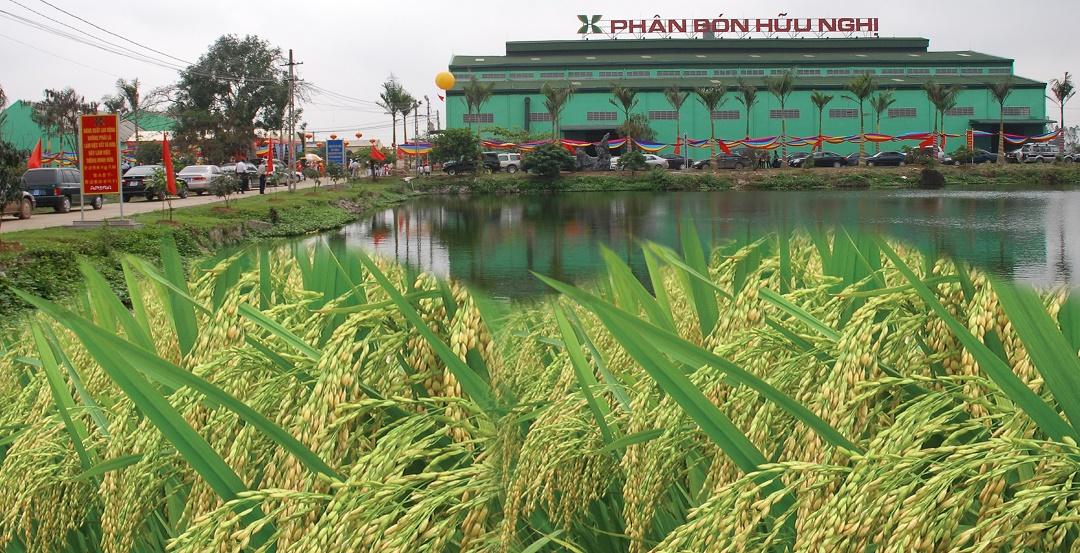 CÔNG TY TNHH LIÊN DOANH PHÂN BÓN HỮU NGHỊ