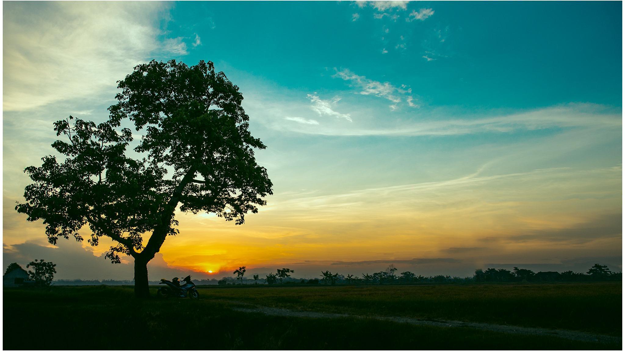 Lê Văn Đạt