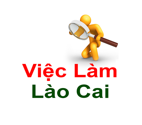 Tìm việc làm tại Lào Cai nhanh và hiệu quả nhất