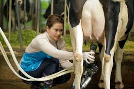 tuyển đơn hàng nữ vắt sữa bò tại nhật bản